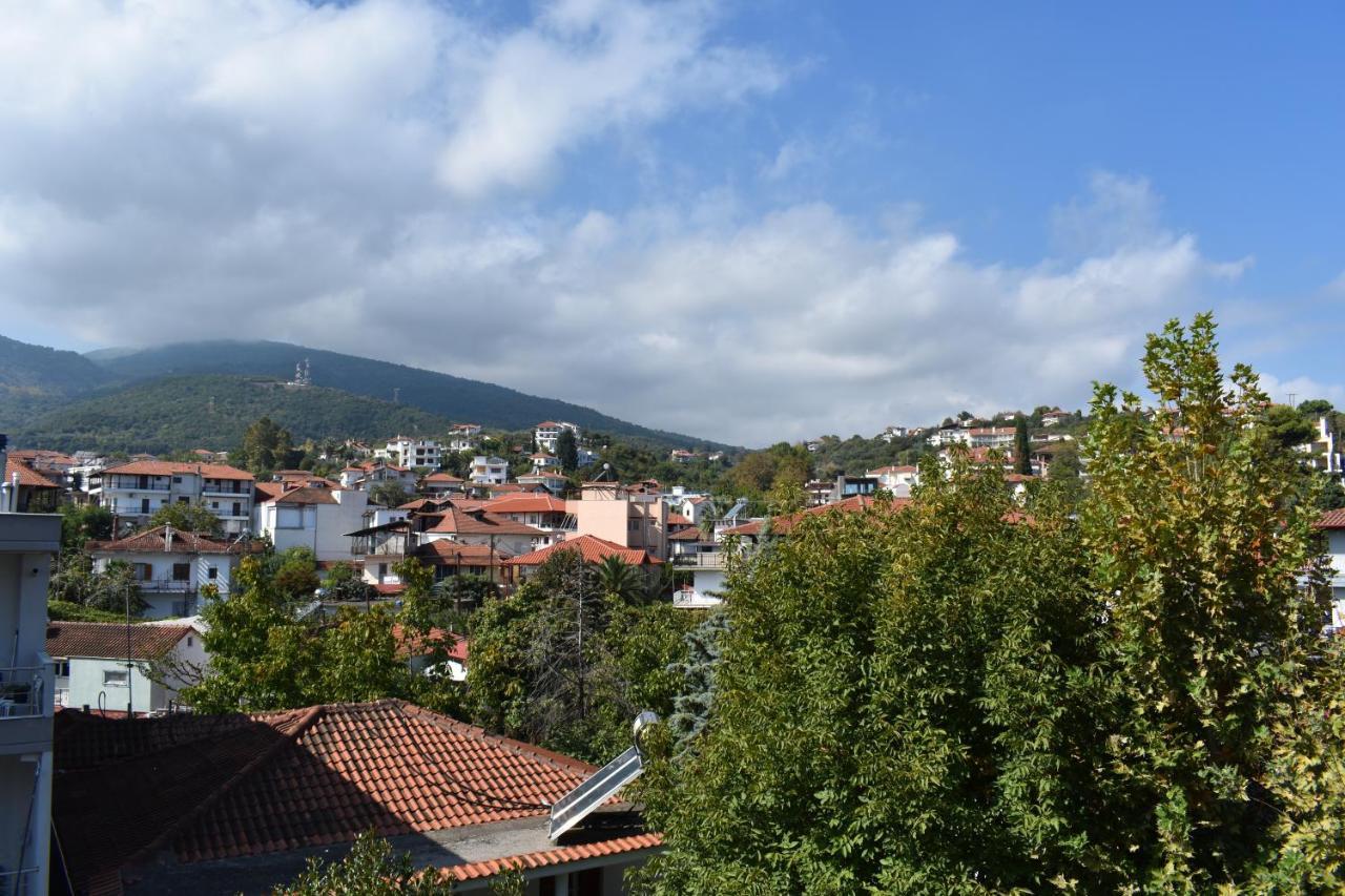 Galanis Studios And Apartments Platamonas Luaran gambar